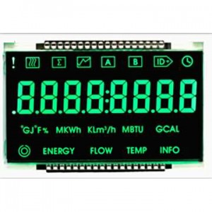 Monochrom-LCD-Panel
