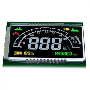 Đơn sắc LCD hiển thị Module