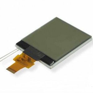 160x160 Display LCD