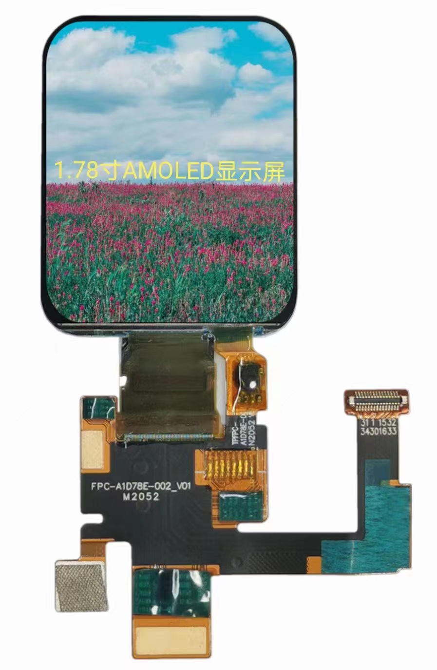 1.78inch AMOLED Displays Featured Image